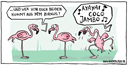 191_flamingo_zirkus_kl