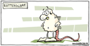 257_rattenschaf_kl