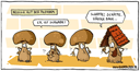 327_schwabe_haeuslebauer_kl