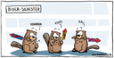 333_biber_silvester_raketen_kl
