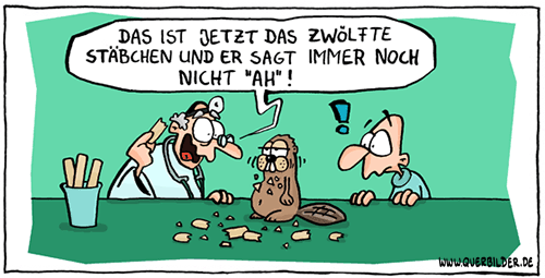 146_tierarzt_biber