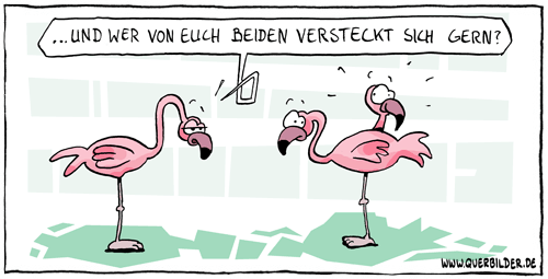 292_flamingo_versteck