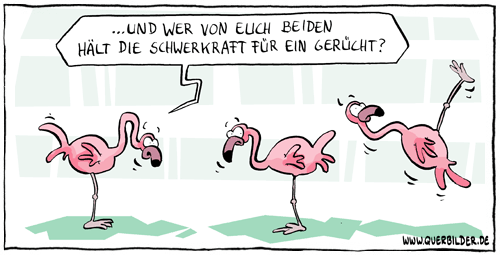 298_flamingo_schwerkraft