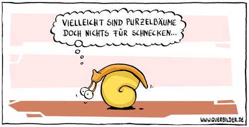 339_purzelbaumschnecke