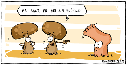 381_fusspilz