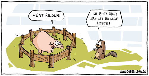 391_billige_fichte