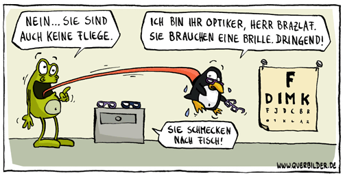398_frosch_optiker_fliege