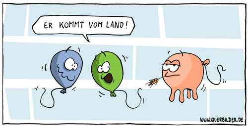402_luftballon_kuheuter_bauer